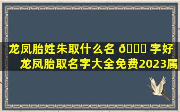 龙凤胎姓朱取什么名 🕊 字好（龙凤胎取名字大全免费2023属兔）